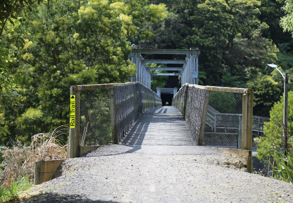 Weekend Hauraki Rail Trail Bike Package incl. Full Day E-Bike Hire, Pannier, Helmet & Shuttle for One Person - Option For Two People