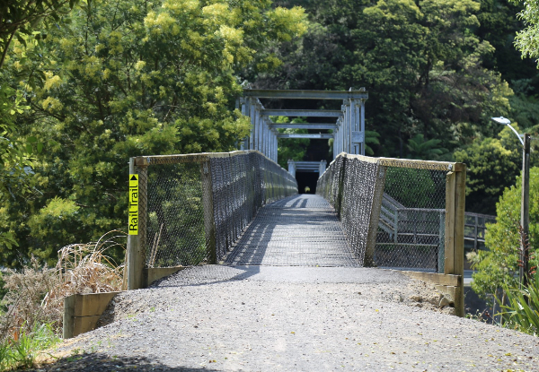 The Hauraki Rail Trail Bike Package incl. Full Day E-Bike Hire, Pannier, Helmet & Shuttle for  For Two People