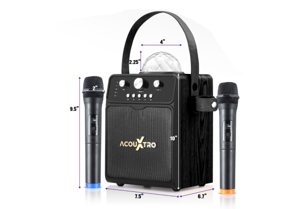 Portable Karaoke Machine with Two Microphones