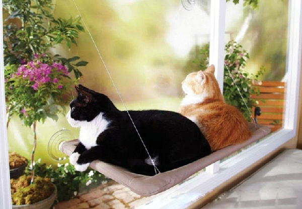 Window Mounted Cat Bed with Free Delivery