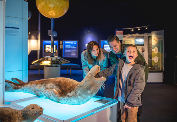 International Antarctic Centre Pass incl. 4D Experience & Hagglund Ride - Options for Adult, Child or Family Pass