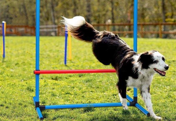 Petscene Five-Piece Dog Agility Training Kit