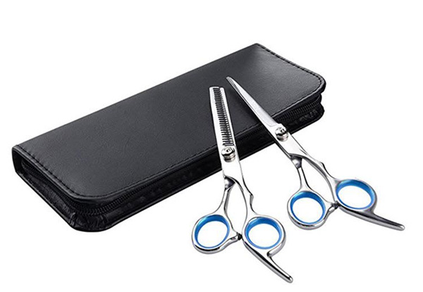 Six-Piece Hairdressing Scissor Set with Free Delivery