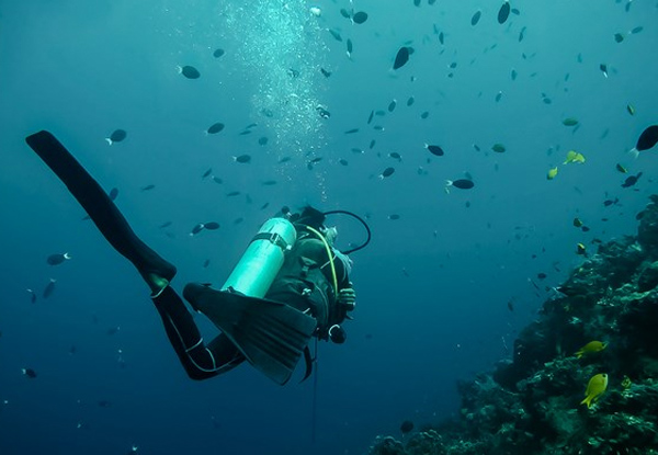 Open Water Diving Course incl. Full Gear Hire Kit & Four Dives in a Marine Reserve for One Person with Options for Two People - Option for Fin, Snorkel & Mask Set