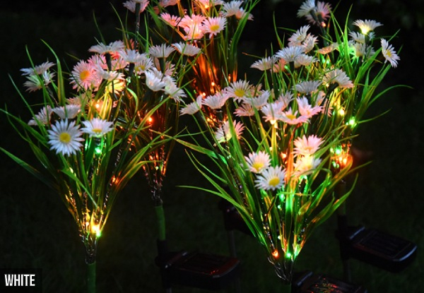 Solar Wildflower Lamp - Two Colours Available