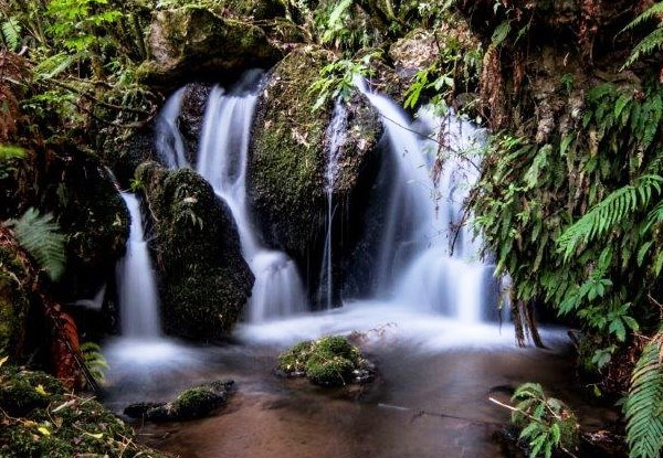 Family of Five Entry to The Buried Village incl. Award-Winning Museum, Archaeological Sites & Te Wairoa Waterfall