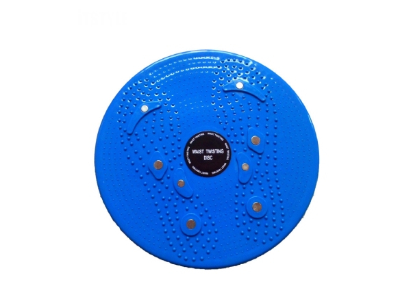 Fitness Twister Plate