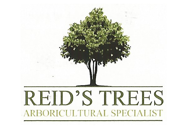 Four Man Hours of Professional Arborist Services incl. Hedge Trimming, Tree Pruning & Difficult Tree Removal - Option for Eight Man Hours