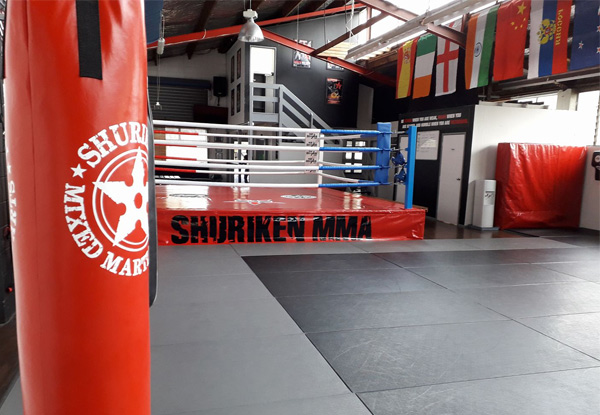 One Month of Unlimited Mixed Martial Arts Classes - Browns Bay Location