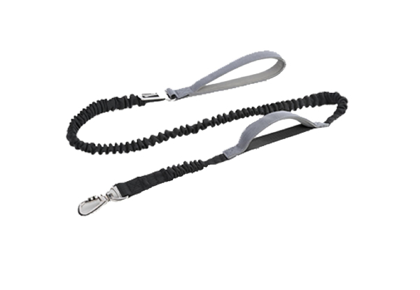 Two-in-One Dog Bungee Leash & Car Seatbelt - Four Colours Available