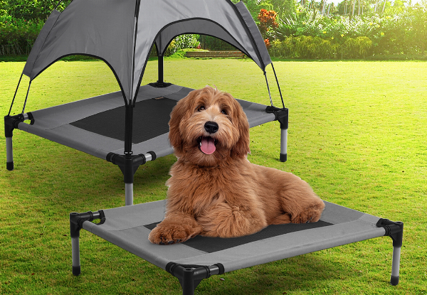 Pawz Pet Elevated Hammock Bed with Canopy - Four Sizes Available