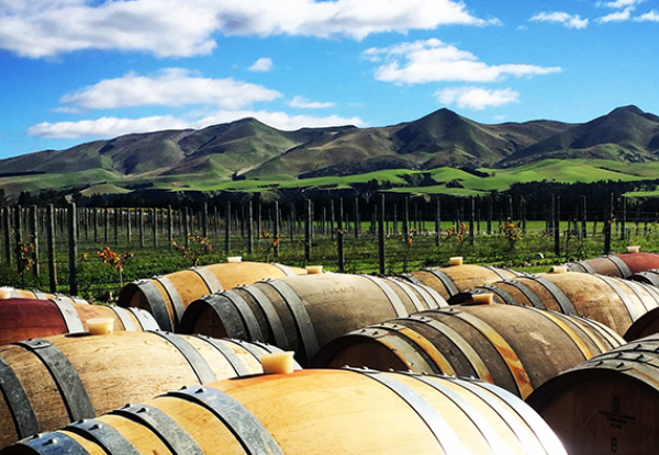 All-Inclusive Waipara Wine Tour Experience for Two incl. Guided Wine Tasting at Four Boutique Wineries with Lunch - Options for up to Five People or Private Six-Person Tour