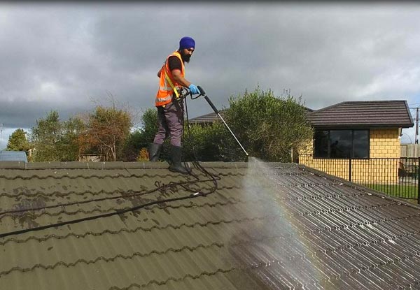 Exterior House Wash, Roof Treatment, Gutter Clean, Exterior Windows Clean, Pest & Spider Spray, Moss & Mould Treatment on Your Driveway