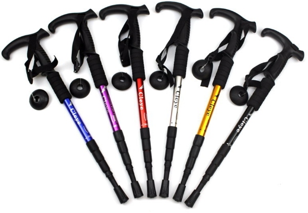 One Adjustable Outdoor Walking Pole with Free Delivery