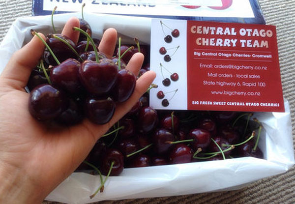 2kg Box of Fresh Central Otago Premium Quality Cherries Delivered to Your Door From 4th January