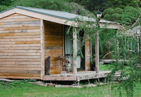 One-Night Kiwi Spotting Tour & Stay for Two People on Kapiti Island incl. Ferry Transport, Introductory Talk, DOC Permits, Dinner, Breakfast & Lunch - Option for Two-Night Stay