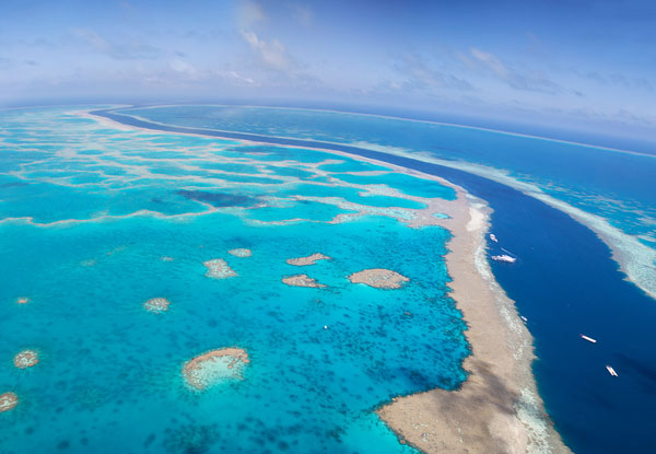 Per Person Twin Share for a Four-Night Cairns & Great Barrier Reef Tour incl. Accommodation, Cruise, Transfers & Rainforest Experience