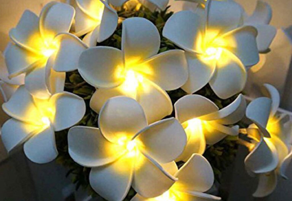 Frangipani Flower String Lights - Option for Two