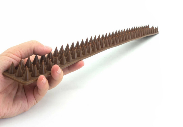 Ten-Pack of Fence Spikes with Free Delivery