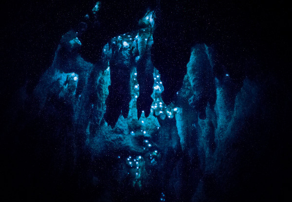 Adult Pass for Kawiti Family Glowworm Caves - Options for Two Adult Passes or a Family Pass