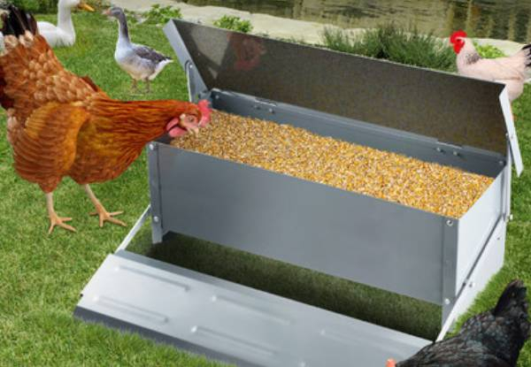 Automatic Chicken Feeder - Available in Two Sizes