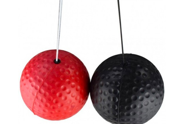Boxing Exercise Ball - Two Colours Available with Free Delivery