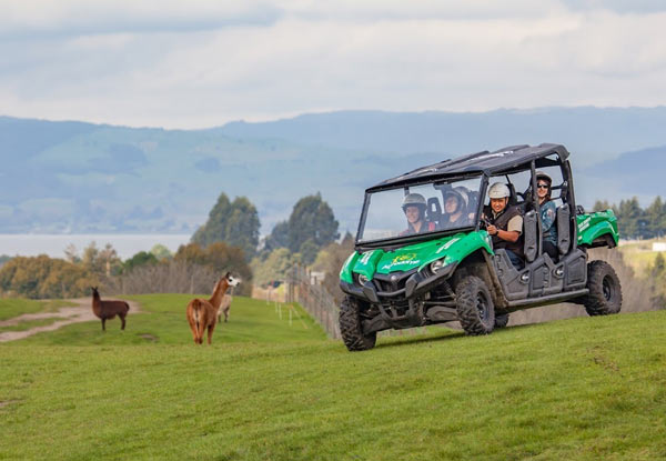$49 for a One-Hour Back Country Adventure (value up to $89)