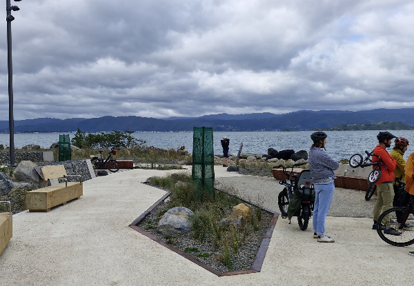 The Ultimate Wellington Bays & Petone Full-Day eBike Adventure - Options for Two & Four People
