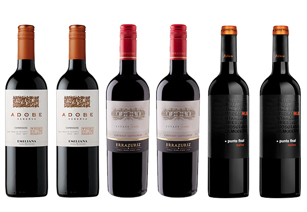 Six-Pack of Mixed South American Red Wines