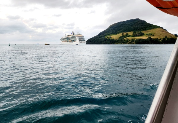 Three-Hour Sunday Afternoon Tauranga Scenic Harbour Cruise for One Adult - Option for Child & Infant