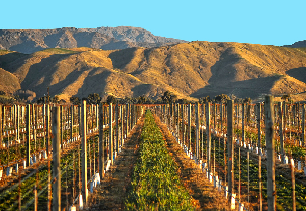 Per-Person, Twin-Share Wine Country Getaway incl. Two-Night Luxury Accommodation, Welcome Glass of Wine, Parking, Four-Hour Wine Tasting & Tour - Options for Three-Night Stay, Departure from Auckland or Wellington Airport & Travel Seasons Available