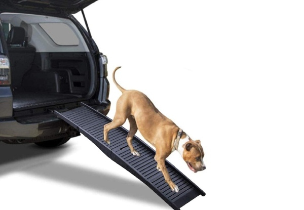 Portable Folding Pet Ramp - Option for Two or Three-Fold