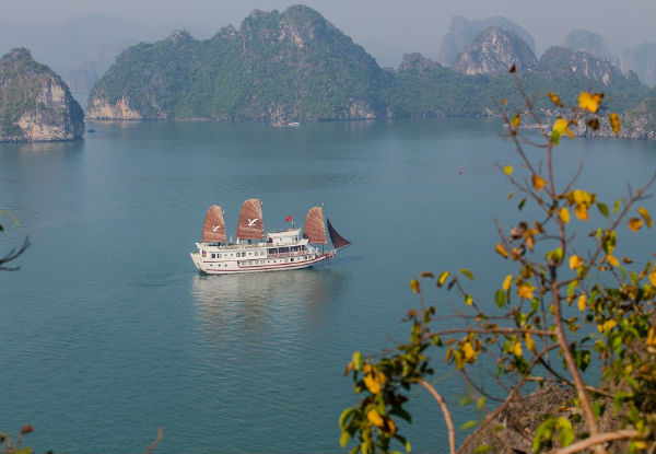 Per-Person Twin-Share 10-Day Vietnam Motorbike Tour incl. Motorbike, Helmet & Gear, English Speaking Guide, Sightseeing, Airport Transfer & Overnight Cruise at Halong Bay - Option for Solo Traveler