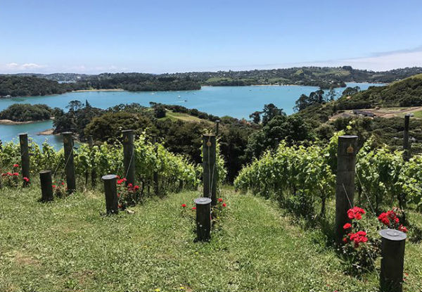 Return Ferry Trip to Waiheke incl. One Car & up to Four Adults