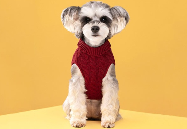 Dog's Candy Colour Sweater - Available in Seven Colours & Five Sizes