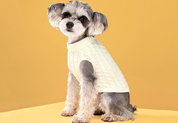 Dog's Candy Colour Sweater - Available in Seven Colours & Five Sizes