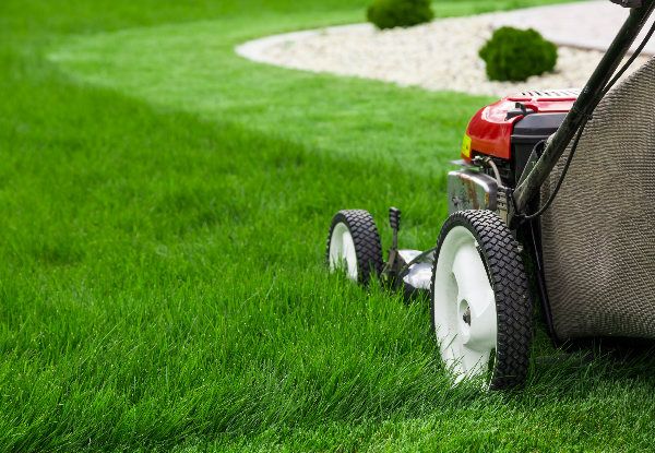 One-Hour of Lawn Mowing & Garden Maintenance - Options for up to Six Hours