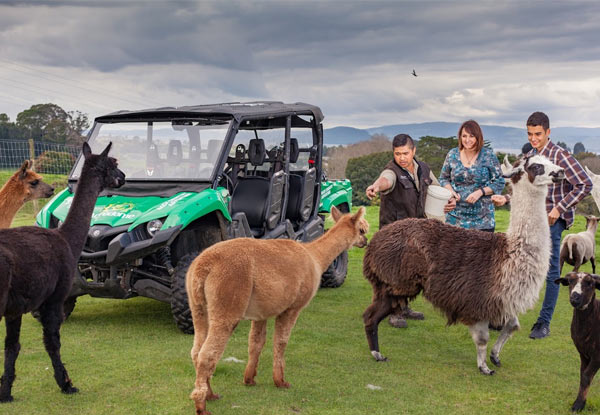 $49 for a One-Hour Back Country Adventure (value up to $89)