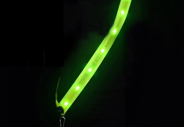 Reflective LED Belt with Three Light Modes - Available in Two Styles & Option for Two-Piece