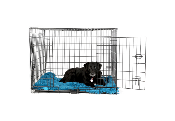 Dog Crate - Three Sizes Available