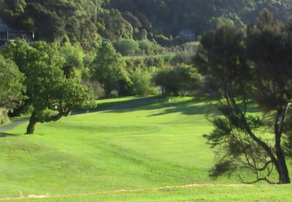 One Round of Golf for One Person