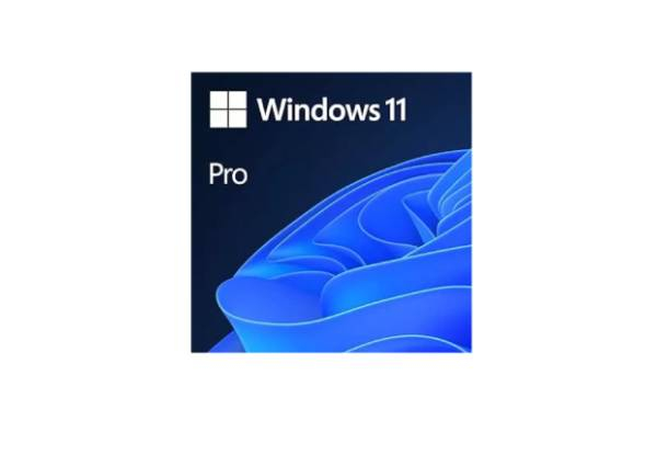 Windows 11 Software - Two Options Available