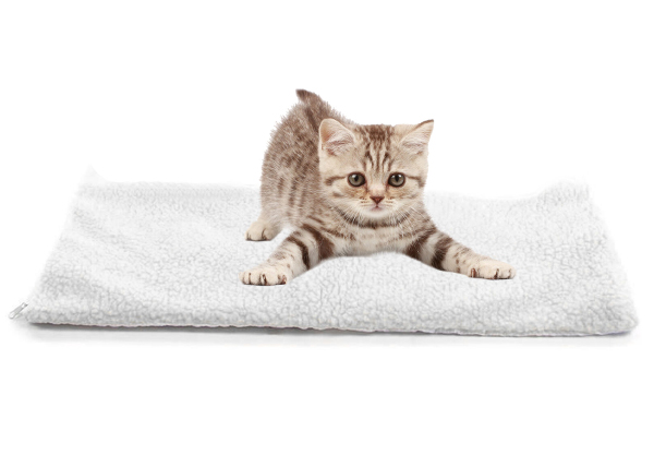 Self-Warming Thermal Pet Bed - Option for Two-Pack & Two Sizes Available