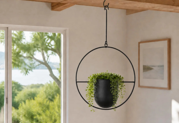 Two Minimalist Round Plant Hanger - Available in Three Colours