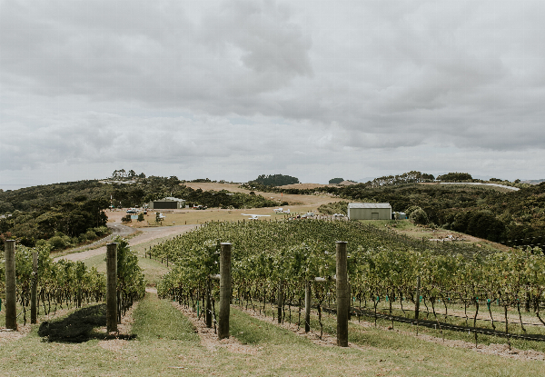 Waiheke Island Scenic Flight - Family Deal for Two Adults & One Child - Option for 45-Minute Flight