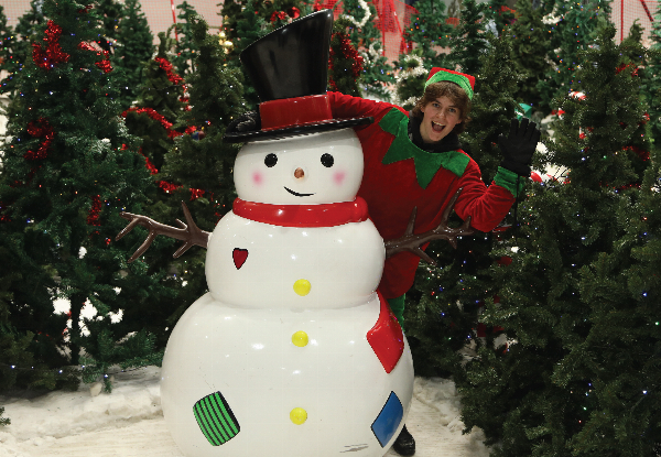 Santa's Snowplanet Winter Wonderland Family Fun Experience for Four - Valid from 21st November to 24th December 2026