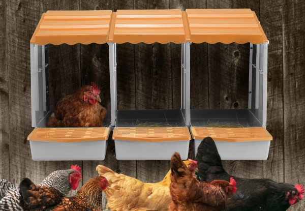 Three-Hole Chicken Nesting Box - Two Colours Available