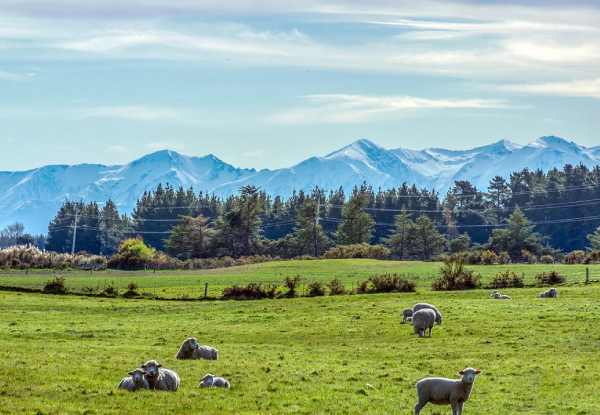 One-Night Country Escape in West Melton Canterbury for Two incl. Continental Breakfast at Gem Bed & Breakfast - Option for Two Nights