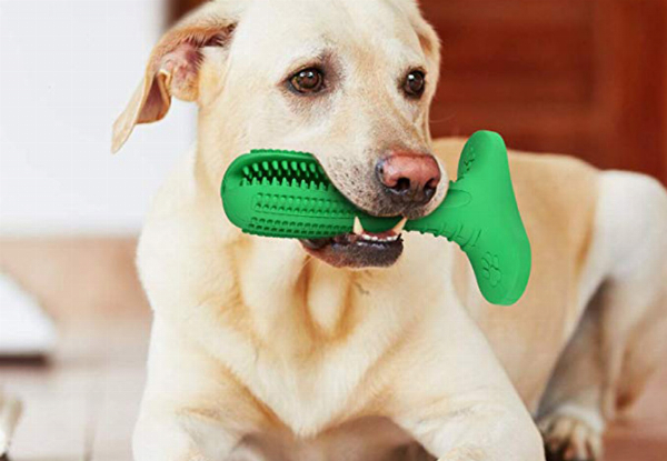 Pet Toothbrush Chew Toy - Two Sizes Available