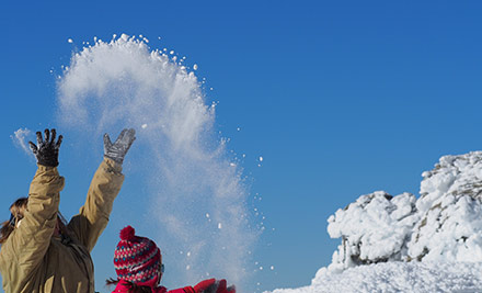 $149 Per Person for a Cromwell Basin Scenic Flight incl. a Complementary Refreshment at the Alpine Landing (value up to $299)